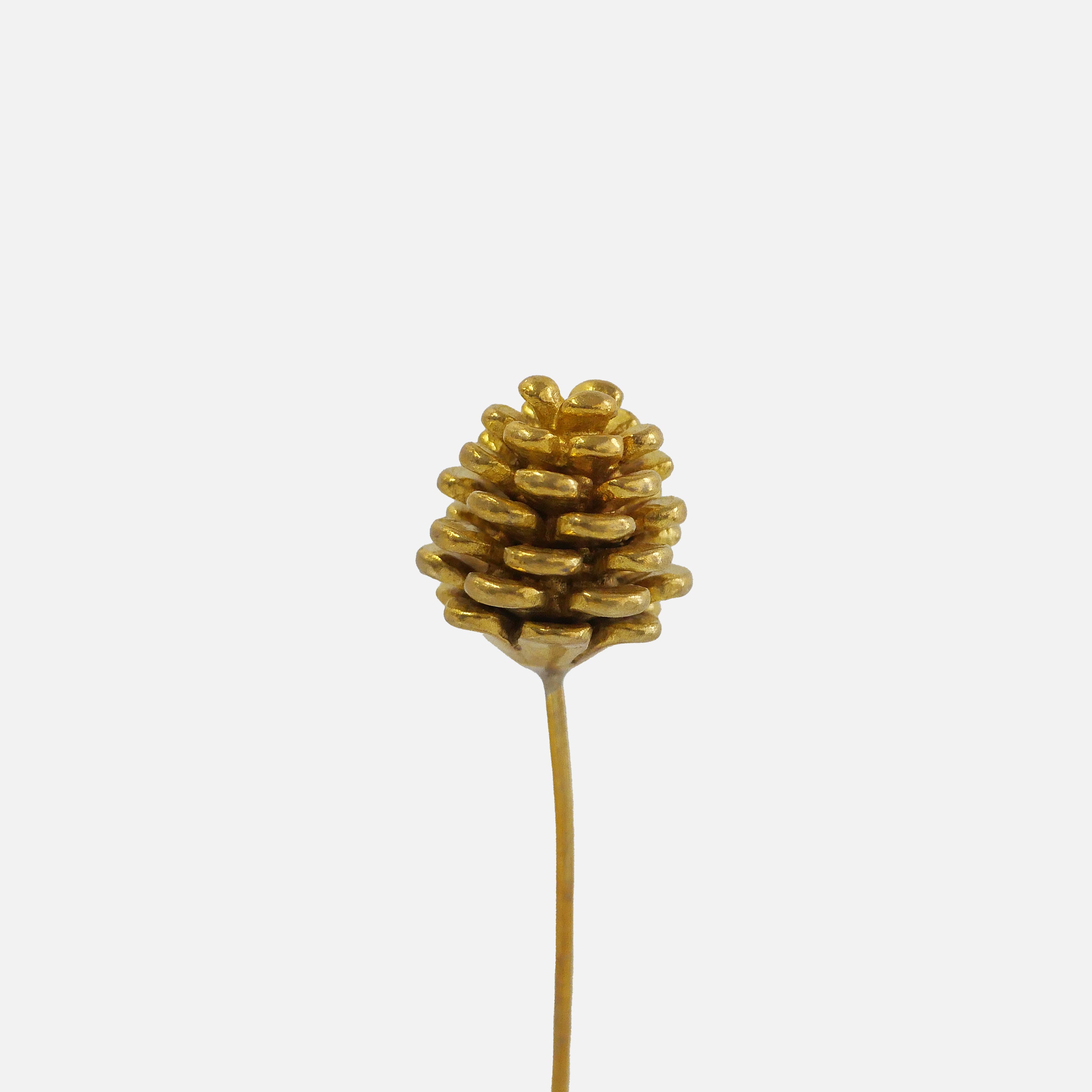 GRAND PINE CONE 松ぼっくりオブジェ | 真鍮製ボタニカルオブジェ 