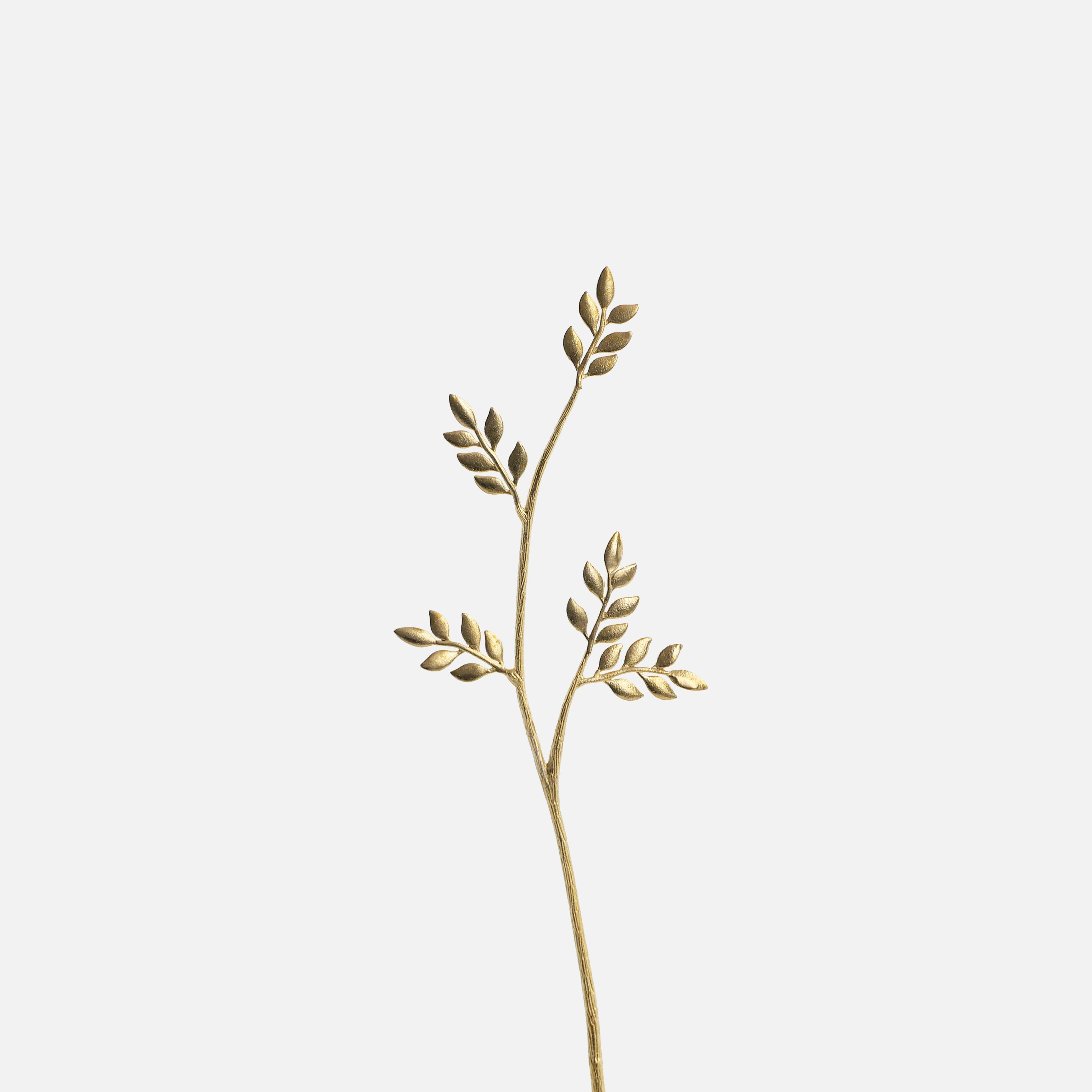 OLIVE | Olive Brass Botanical Object
