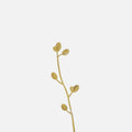 LEAF リーフオブジェ