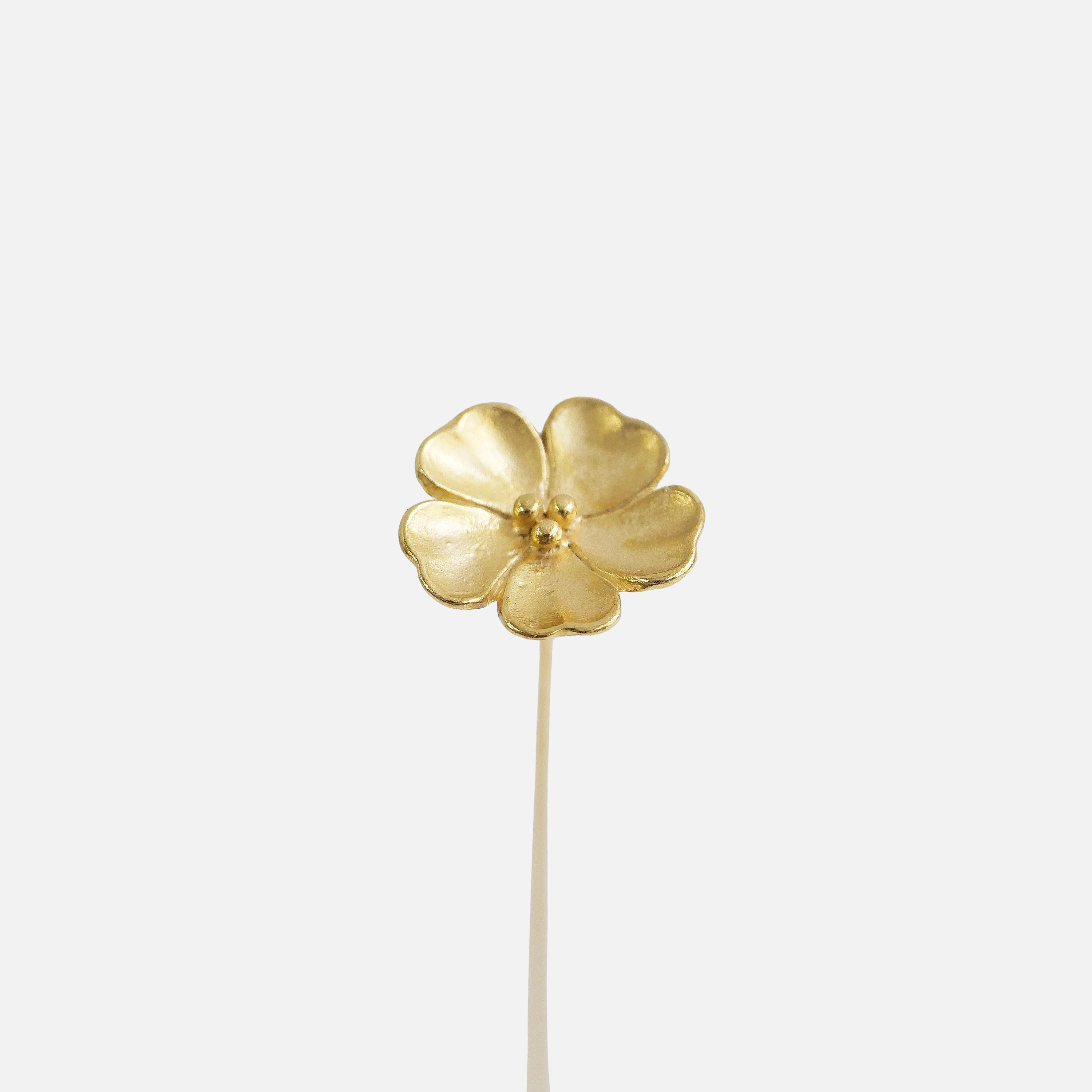 商品 – Vita Ramus