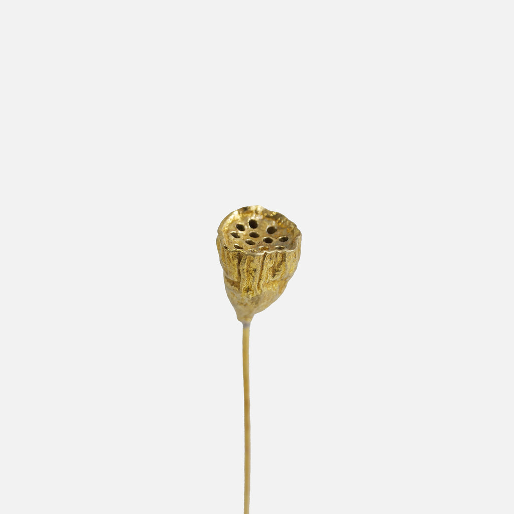 LOTUS POD ハスの実オブジェ