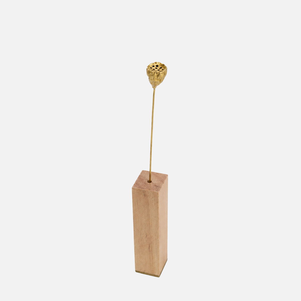 Baccello di Loto Decorativo in Ottone