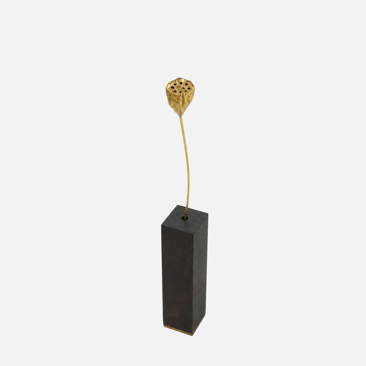 Baccello di Loto Decorativo in Ottone