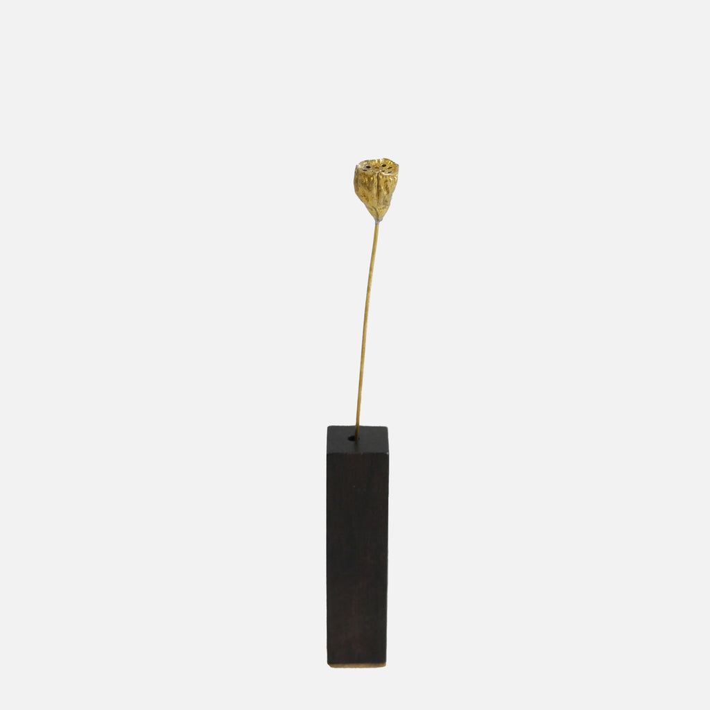 Baccello di Loto Decorativo in Ottone