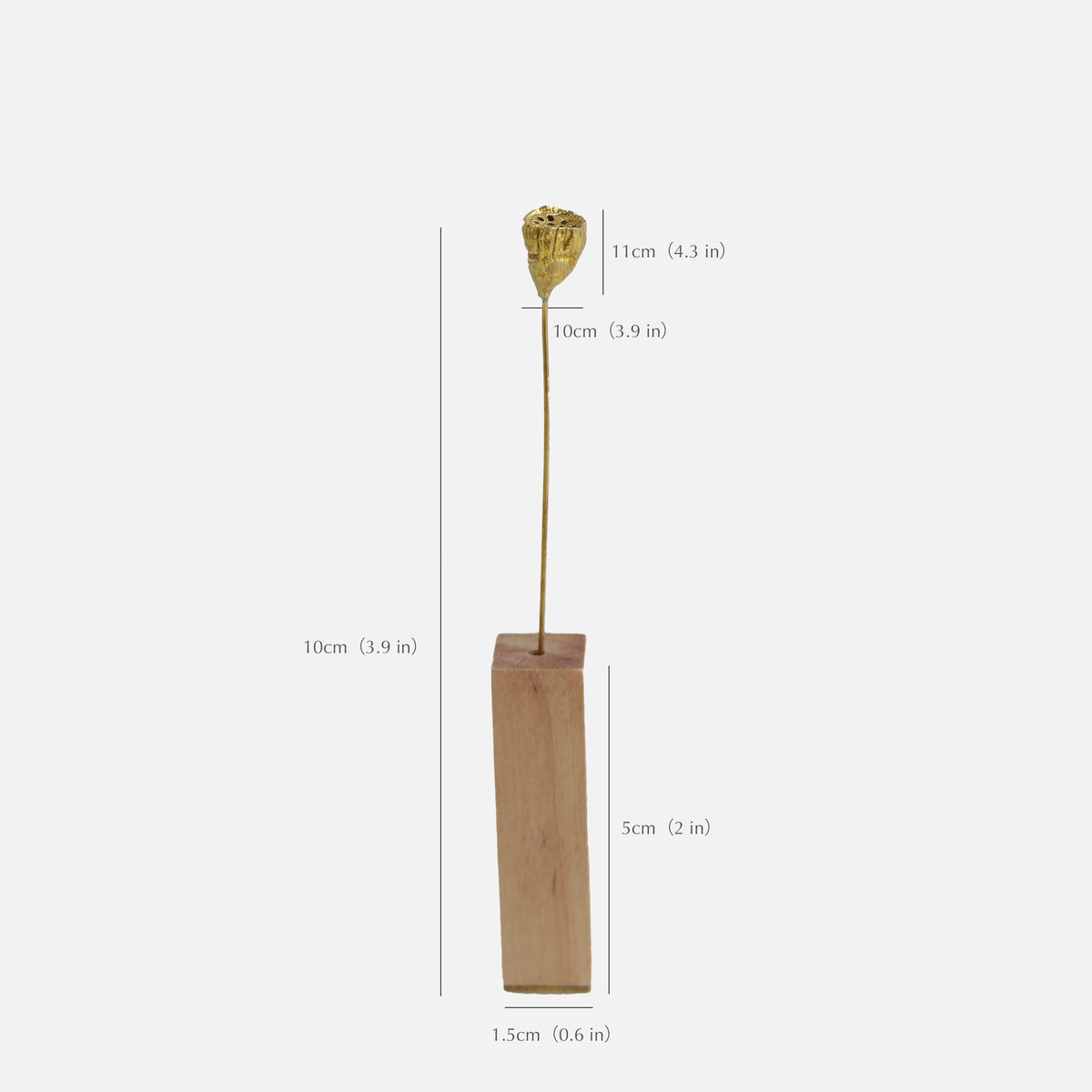 Baccello di Loto Decorativo in Ottone