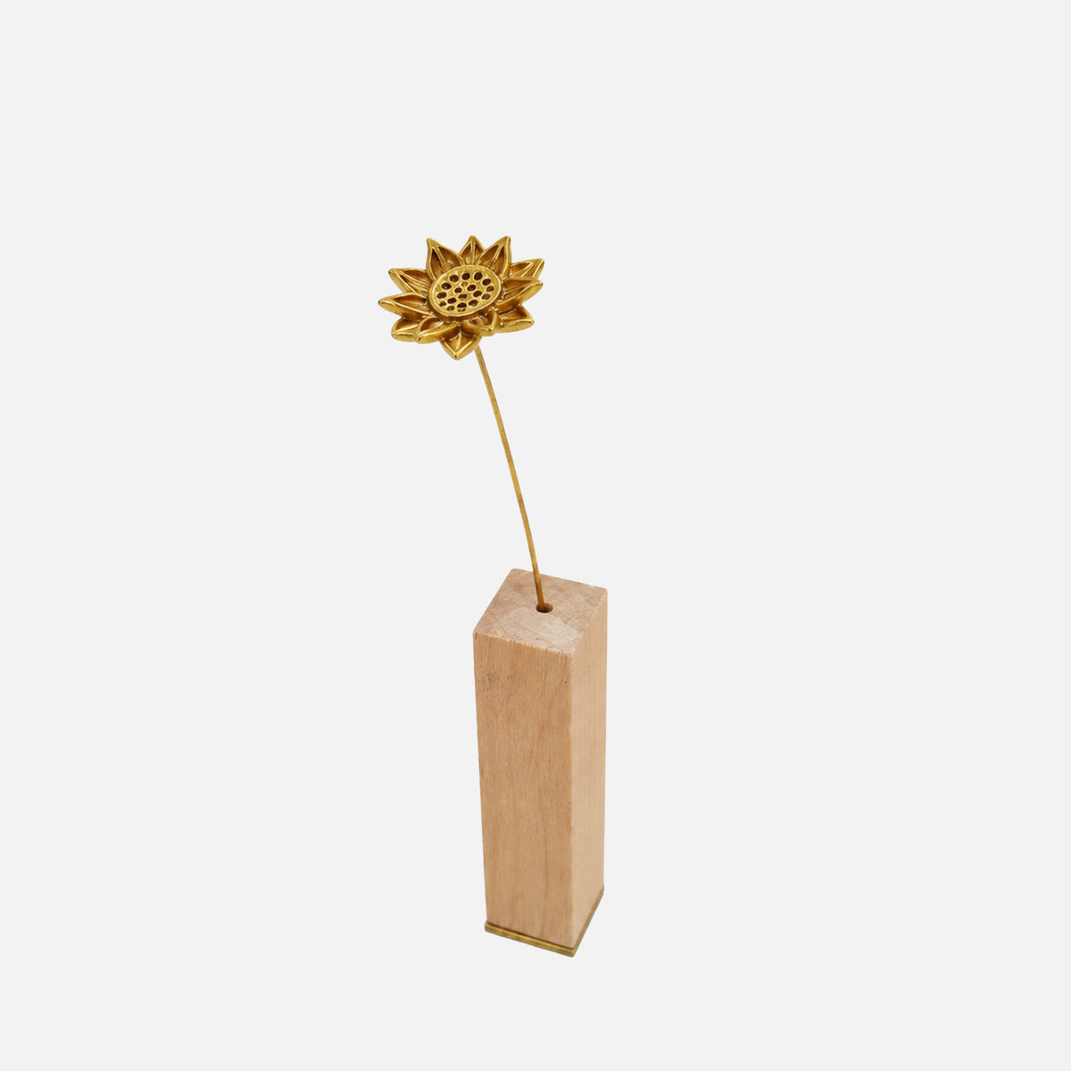 MARGUERITE | Marguerite Brass Botanical Object