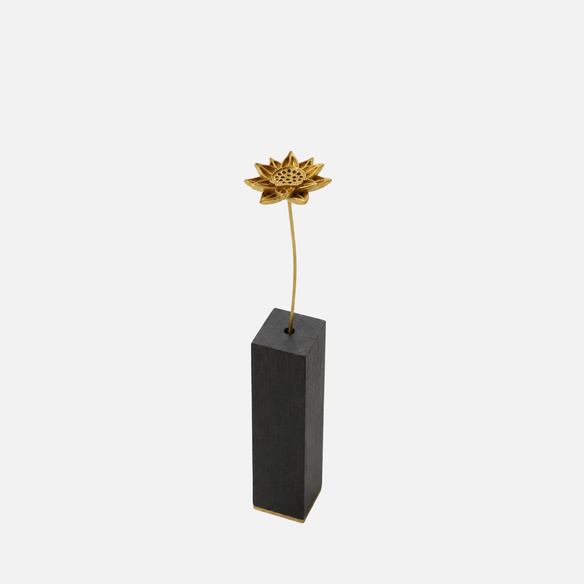 MARGUERITE | Marguerite Brass Botanical Object