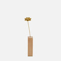 MARGUERITE | Marguerite Brass Botanical Object