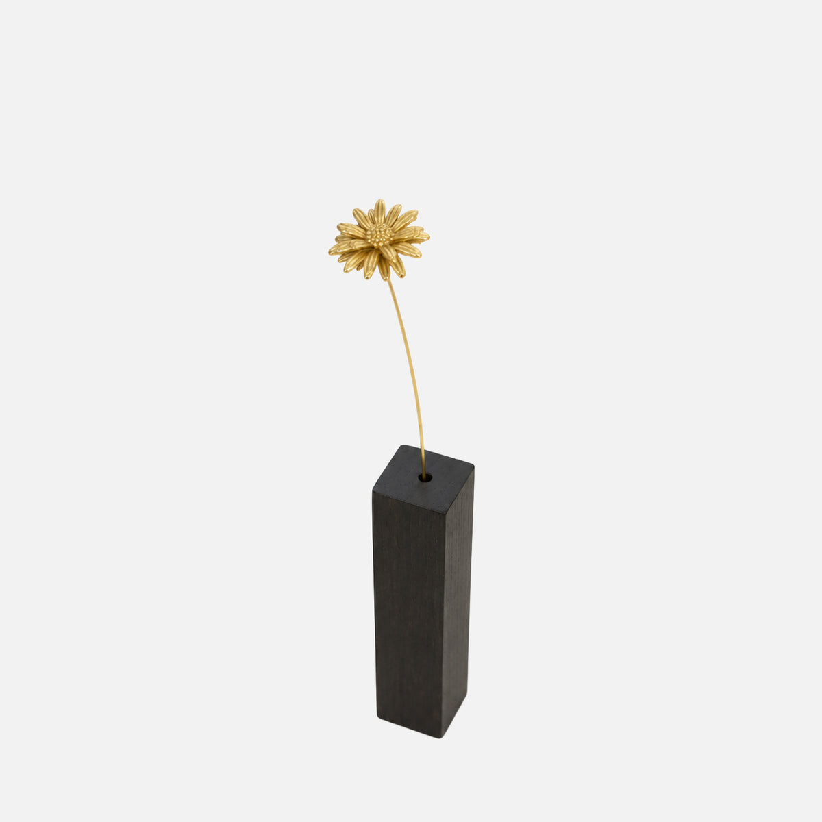 MARGUERITE Marguerite Botanical Object
