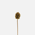 PETIT PINE CONE 松ぼっくりオブジェ