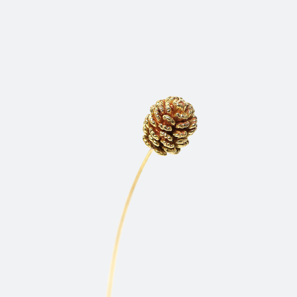 Brass Pinecone Mini Sculpture (Medium) with Wooden Vase