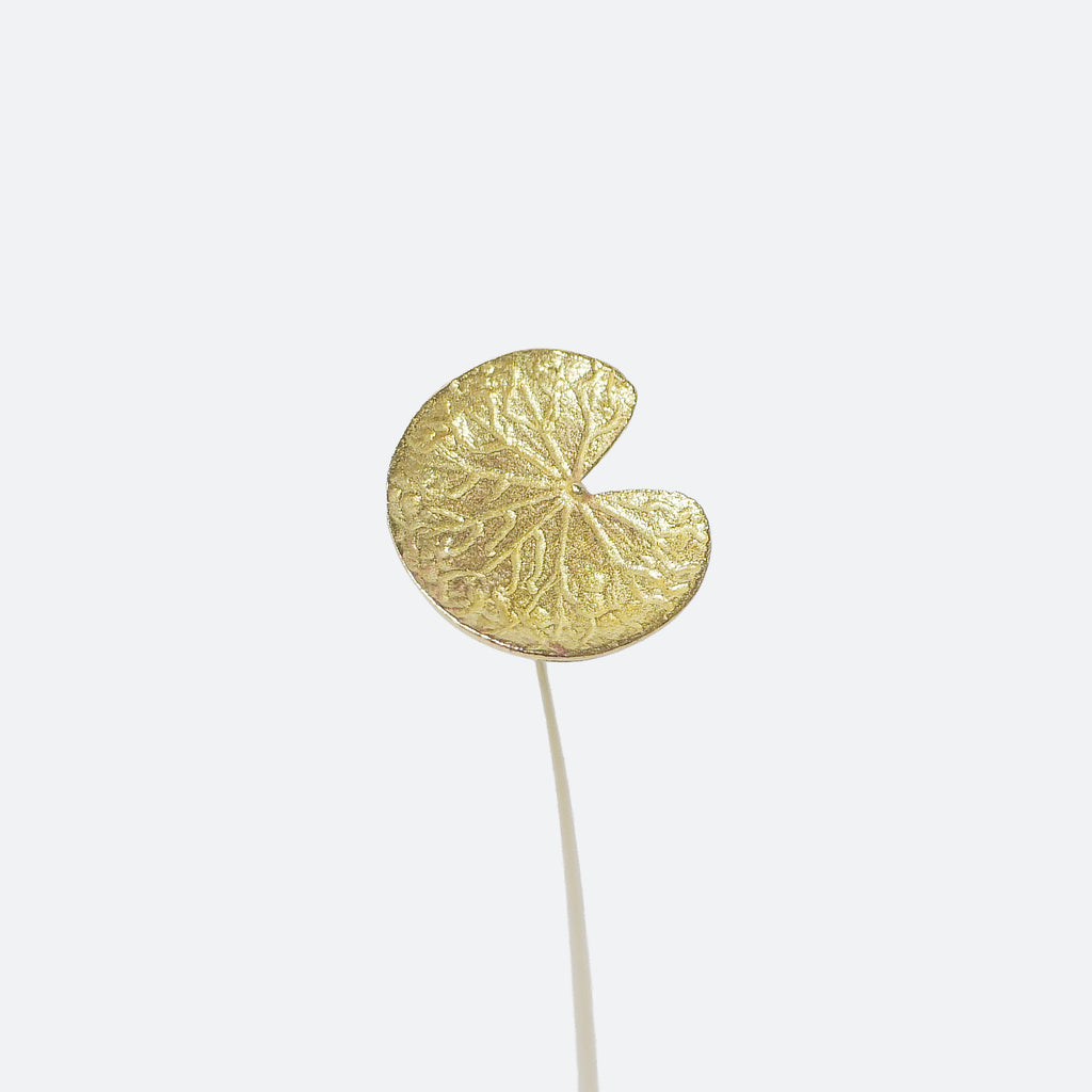 Brass Water Lily Leaf Mini Sculpture with Wooden Vase